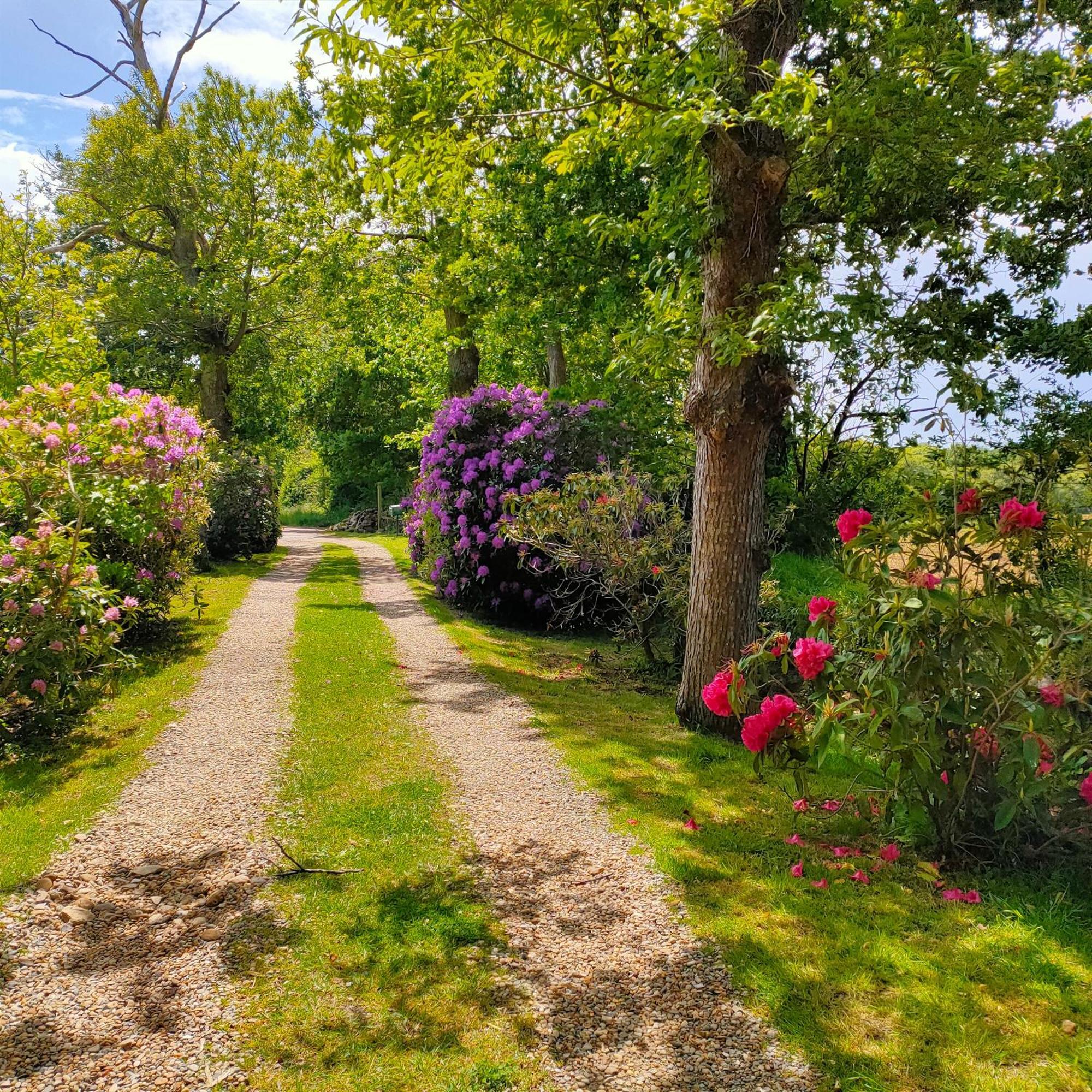 La Ferme De Kerraoul Bed & Breakfast Combrit Dış mekan fotoğraf