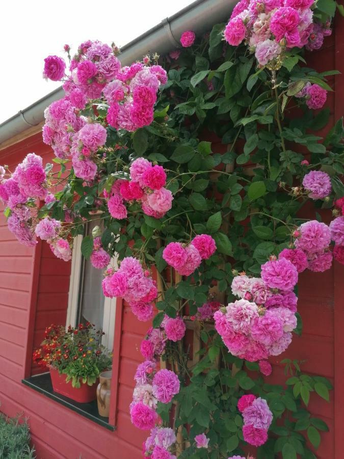 La Ferme De Kerraoul Bed & Breakfast Combrit Dış mekan fotoğraf